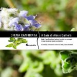 Crema Canforata